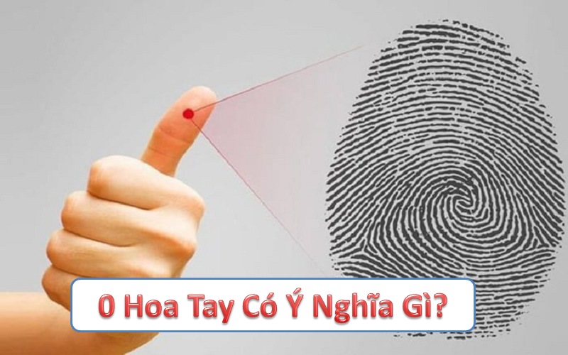 Khám phá ý nghĩa 0 hoa tay và sự liên quan đến vận mệnh