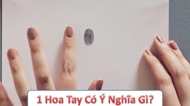 1 hoa tay có ý nghĩa gì? Sự ảnh hưởng của 1 hoa tay đến cuộc sống, công việc