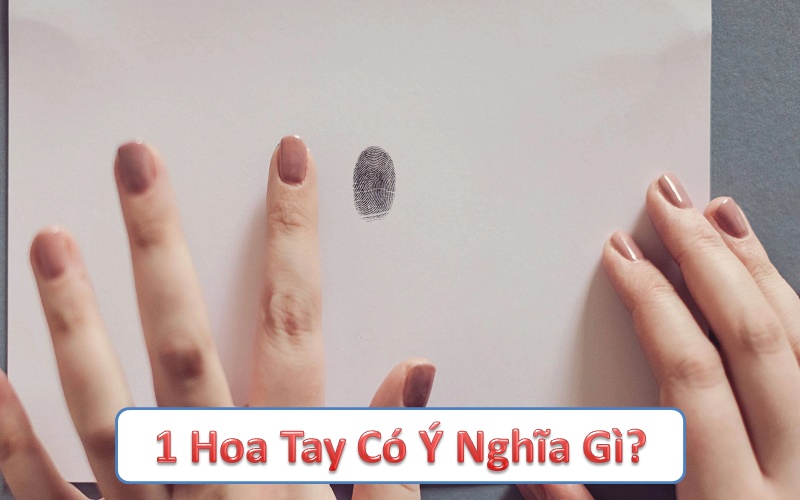 1 hoa tay có ý nghĩa gì? Sự ảnh hưởng của 1 hoa tay đến cuộc sống, công việc