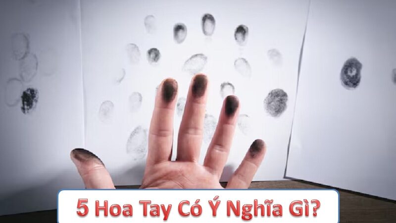 5 hoa tay có ý nghĩa gì? Tác động của nó đến tính cách, sức khỏe và phong thủy