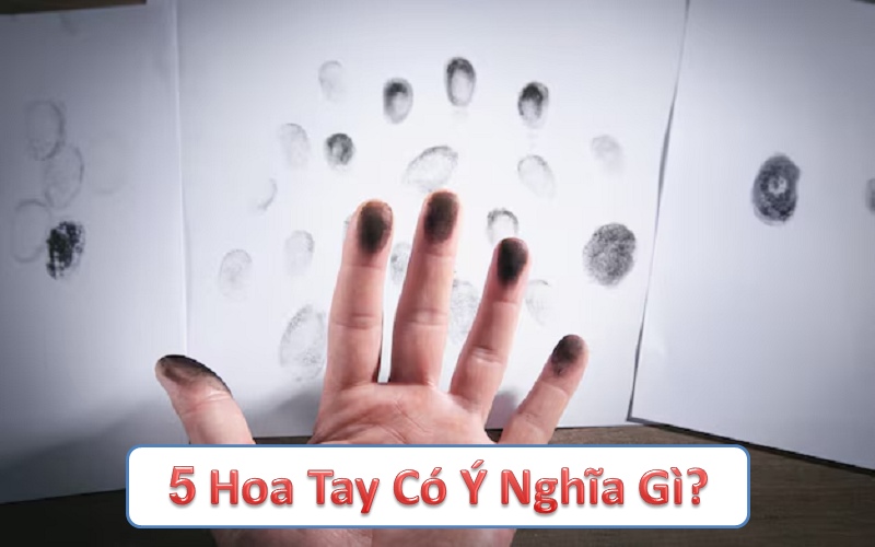 5 hoa tay có ý nghĩa gì? Tác động của nó đến tính cách, sức khỏe và phong thủy