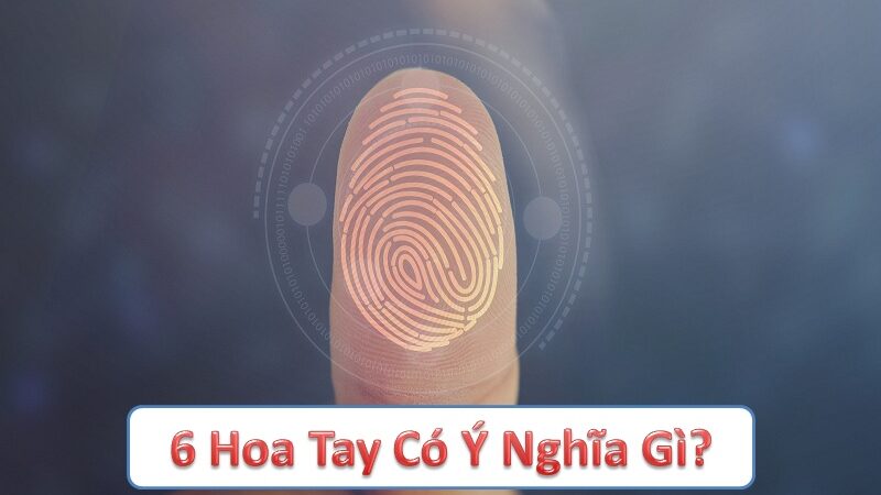 6 hoa tay có ý nghĩa gì? Hiểu rõ tác động trong phong thủy và y học