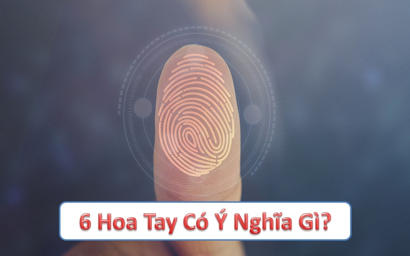 6 hoa tay có ý nghĩa gì? Hiểu rõ tác động trong phong thủy và y học