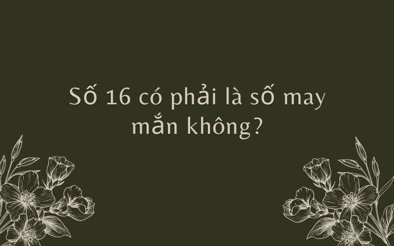 so-16-mang-y-nghia-gi