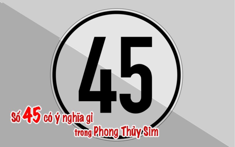 Số 45 trong văn hóa và đời sống