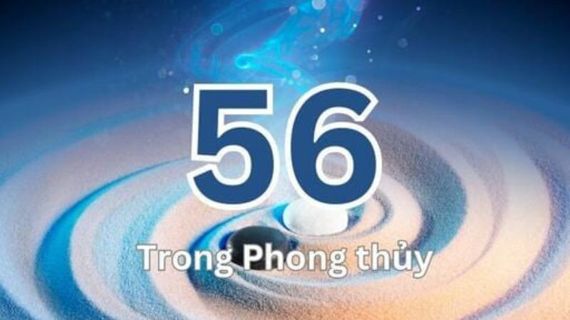 Số 56 mang ý nghĩa gì trong phong thủy, thần số học và đời sống