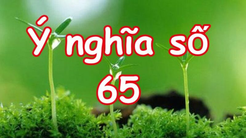 Số 65 mang ý nghĩa gì? Khám phá giá trị trong phong thủy và sự nghiệp