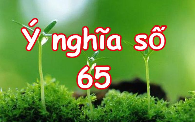 Số 65 mang ý nghĩa gì? Khám phá giá trị trong phong thủy và sự nghiệp